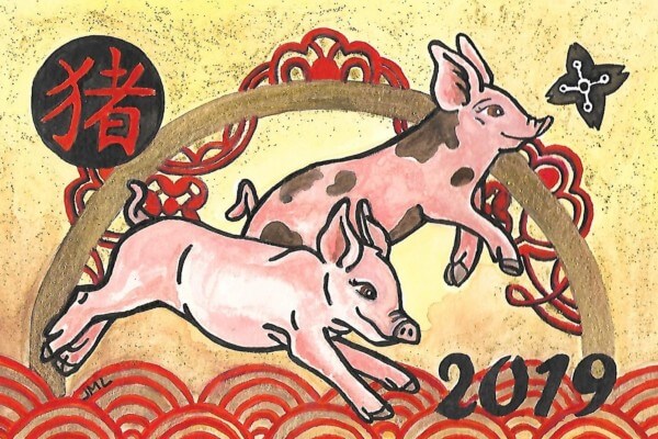 2019 Year of the Pig